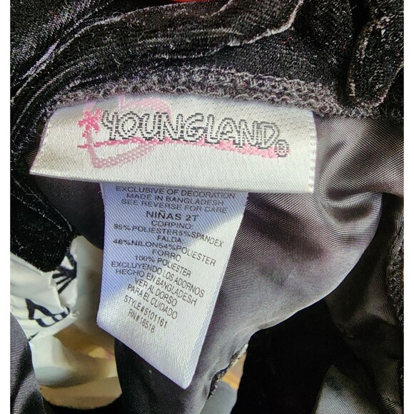 Youngland Size 2T Party Dress Embroidered Lined Velvet - Picture 5 of 7